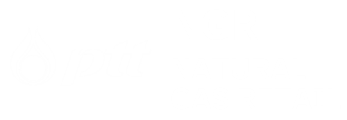 PTT NGR Logo
